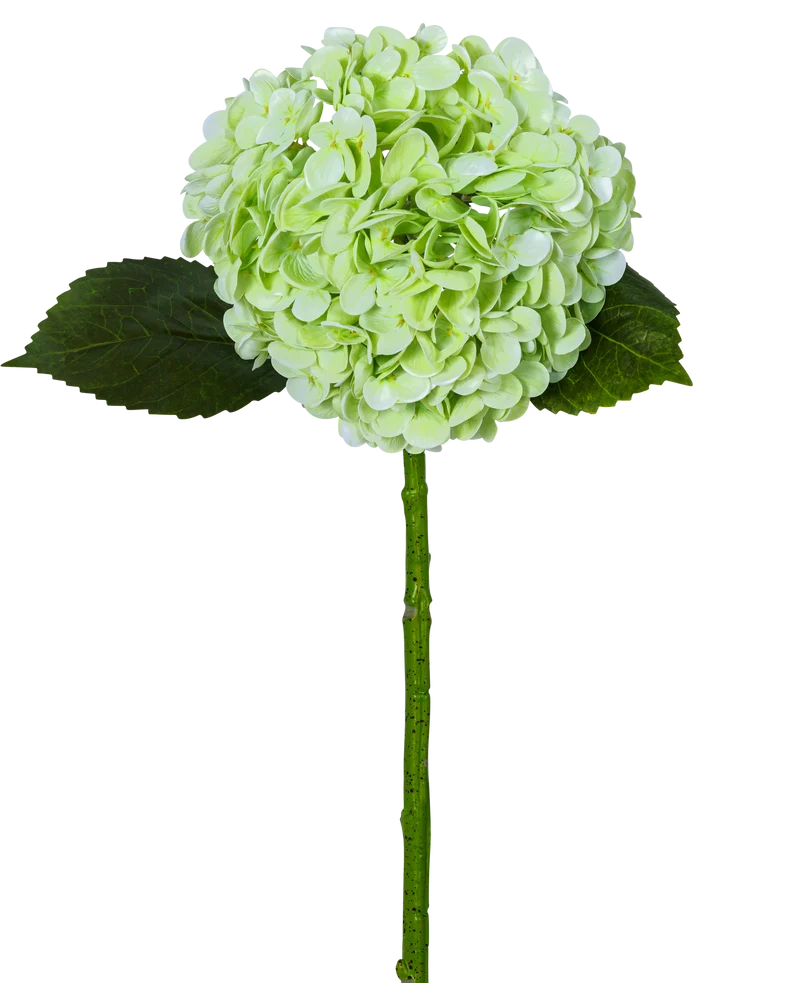 Kunsthortensia "Annabelle" Real Touch Groen 55cm