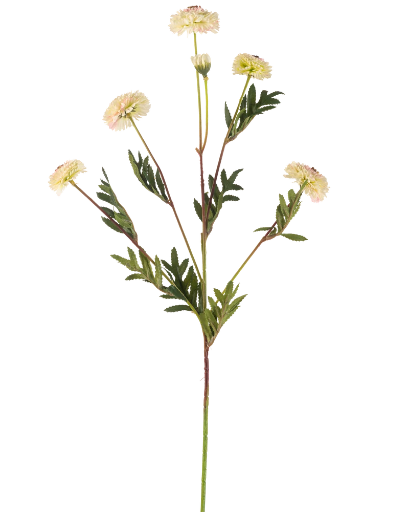 Kunstbloem Pompon chrysant 69 cm crème/roze