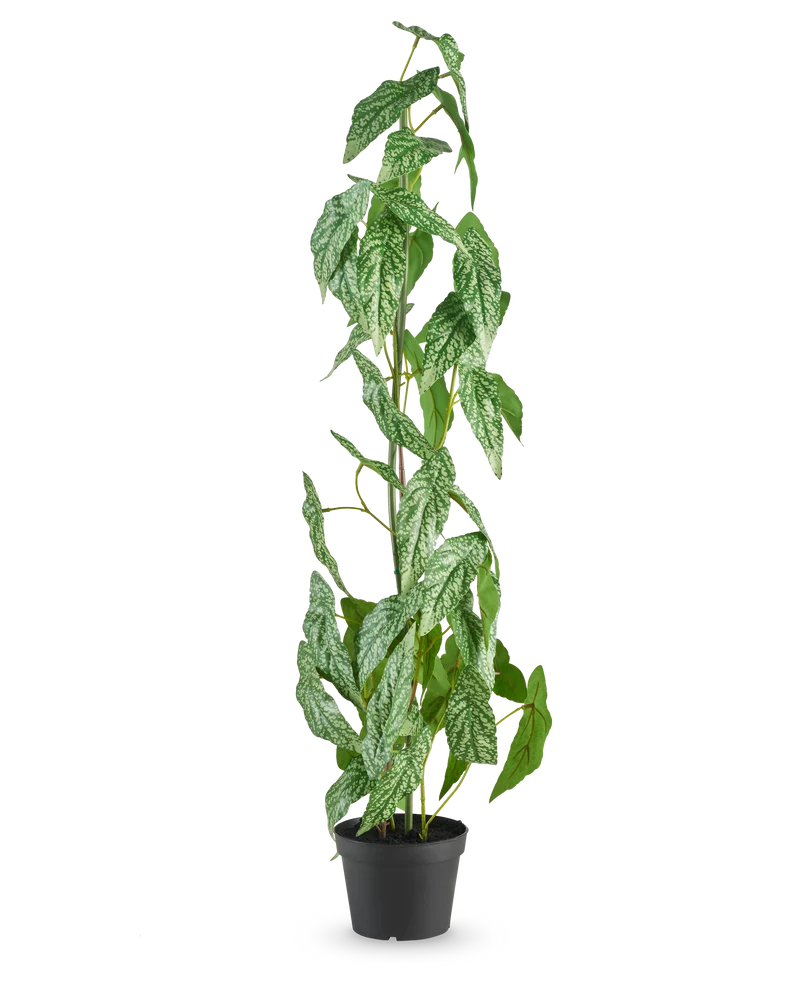 Kunstplant Begonia Maculata 90 cm groen