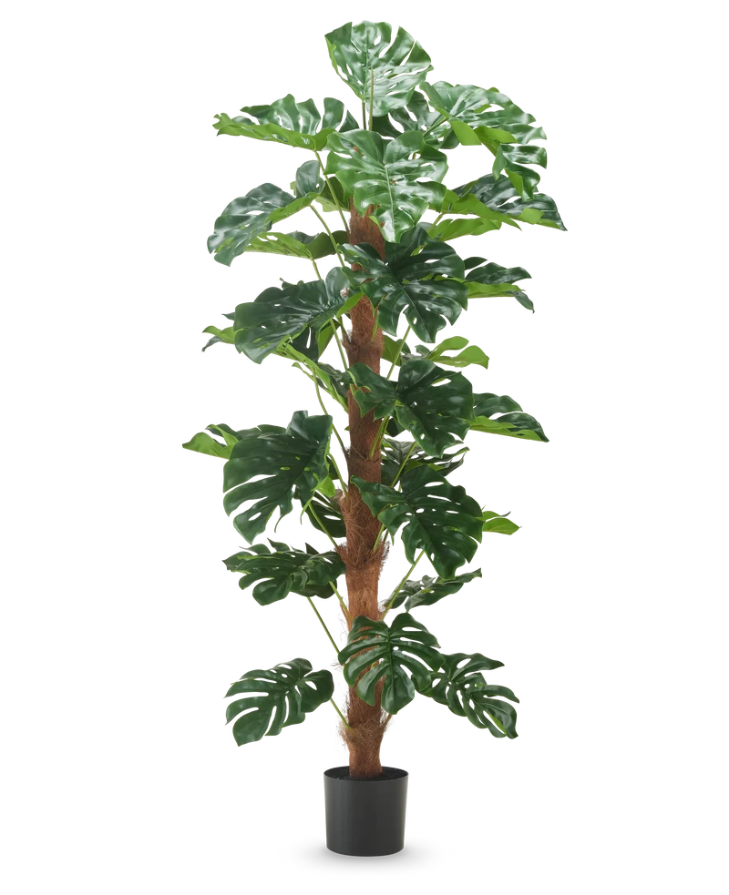 Kunstplant Monstera 180 cm