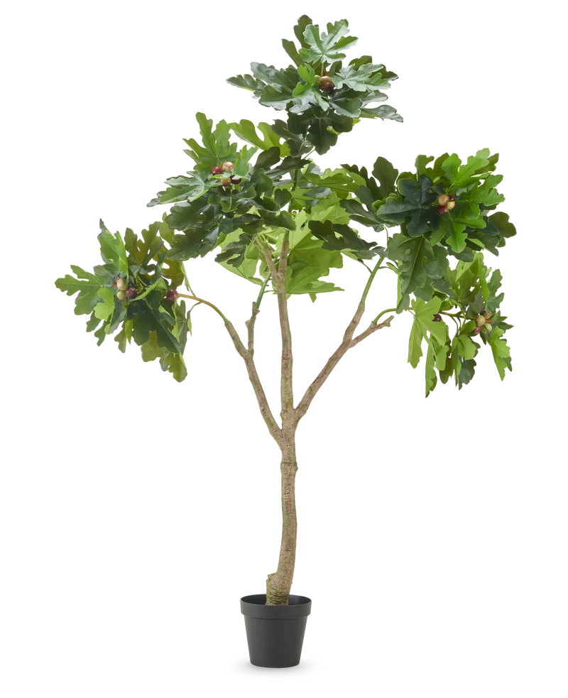 Kunstplant Ficus Carica vijgenboom 210 cm