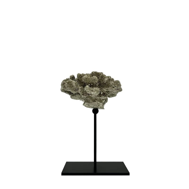 CORAL CHAMPAGNE