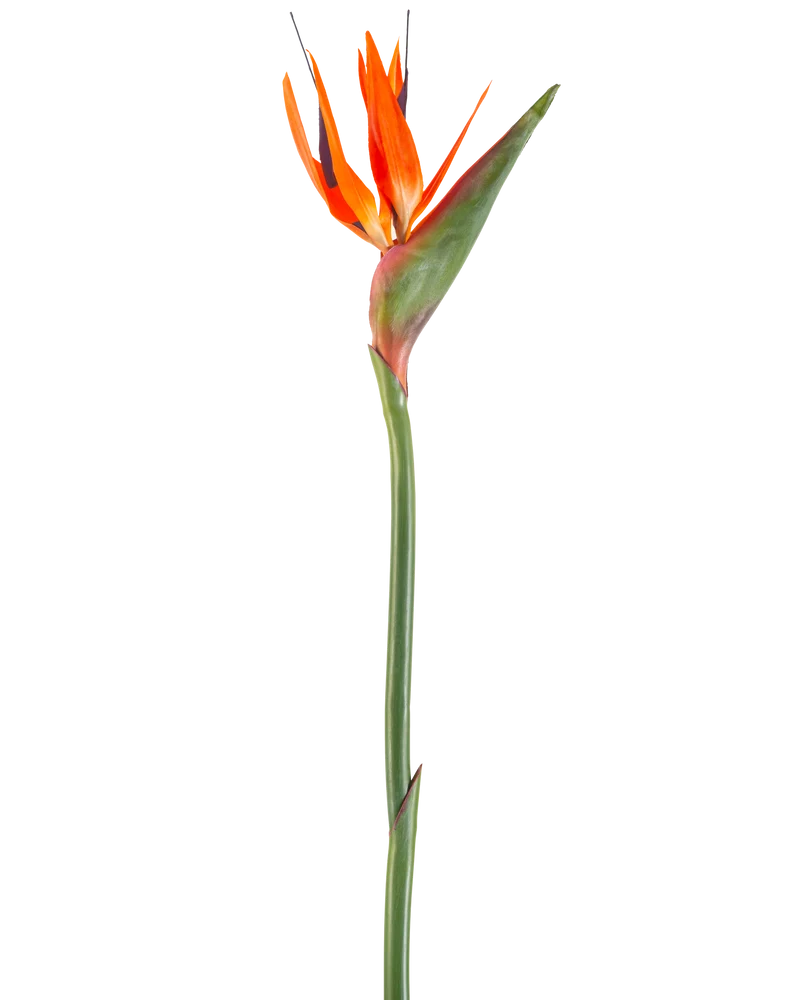 Kunstbloem Paradijsvogel 99 cm koraal