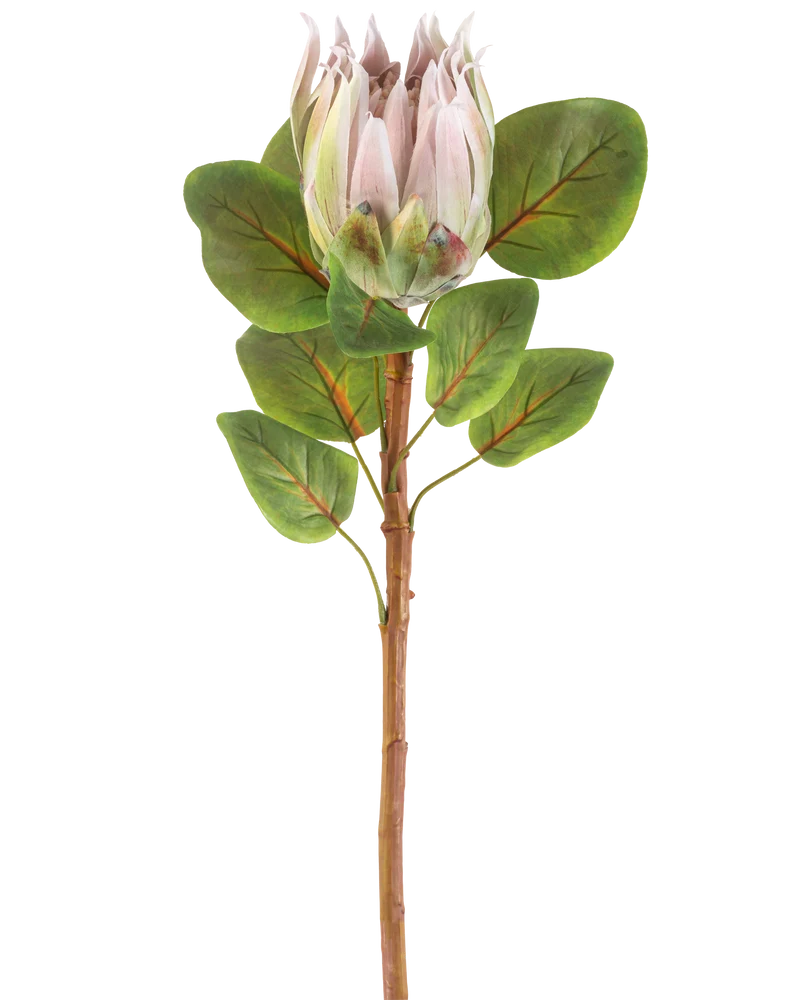 Kunstbloem Protea 65 cm lichtroze