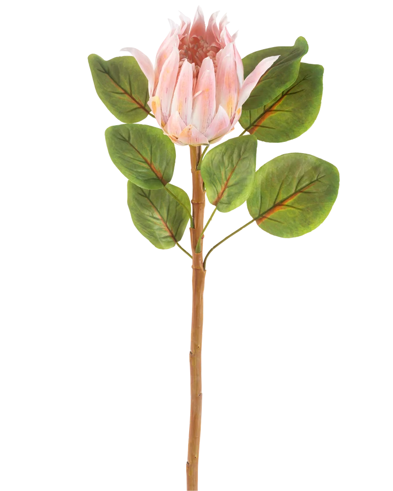 Kunstbloem Protea 65 cm roze