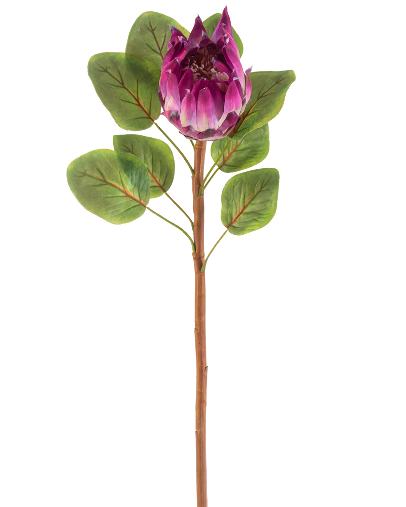 Kunstbloem Protea 65 cm paars
