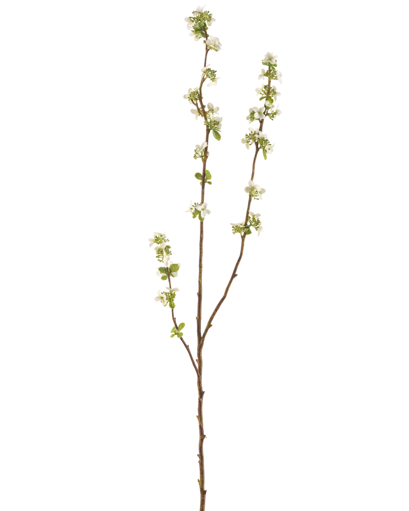 Kunsttak Zaaddoos 104 cm crème