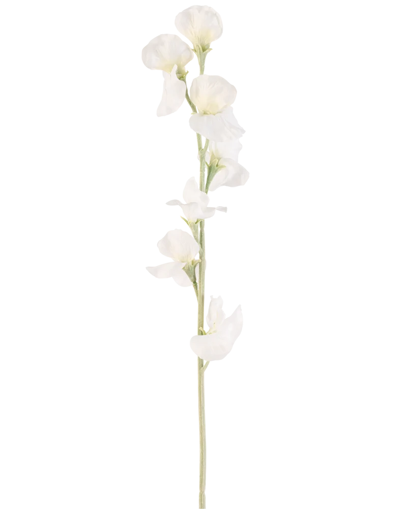 Kunstbloem Erwt 64 cm crème