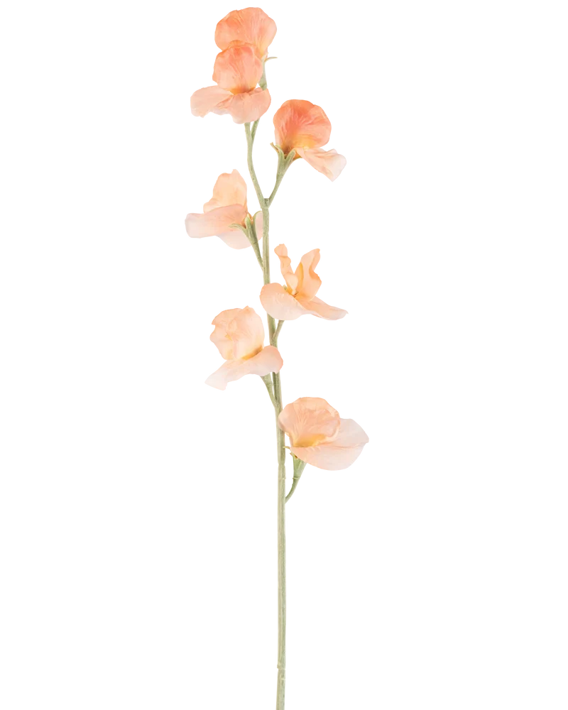Kunstbloem Erwt 64 cm perzik