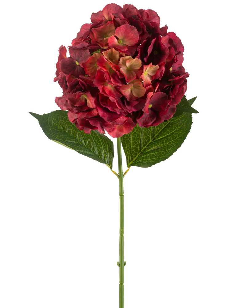 Kunstbloem Hortensia 75 cm bordeaux