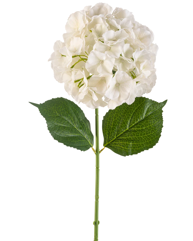 Kunstbloem Hortensia 75 cm crème
