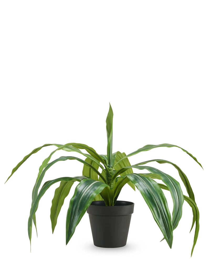 Kunst Dracaena in pot UV 50 cm