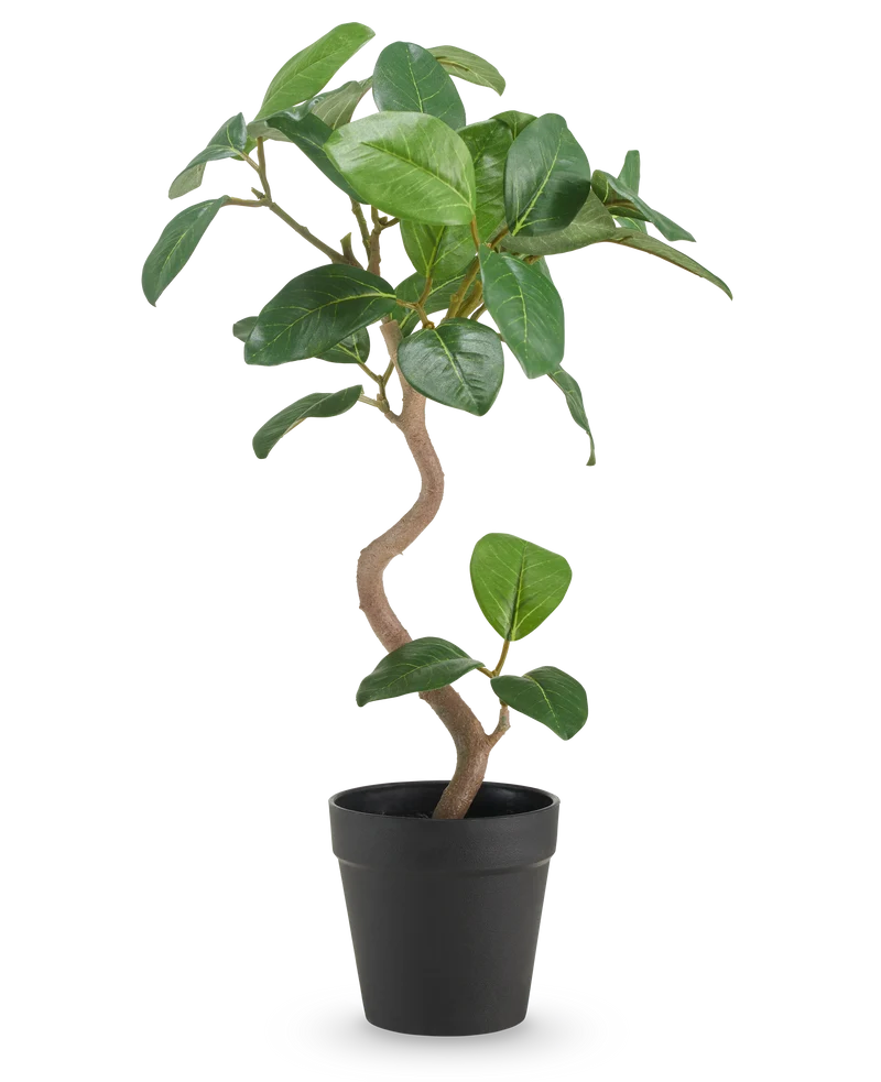 Kunst Ficus Elastica 42 cm