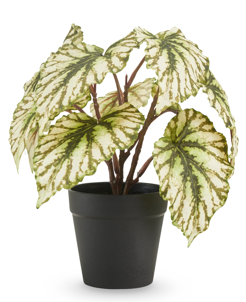 Kunst Begonia in pot groen UV 25 cm