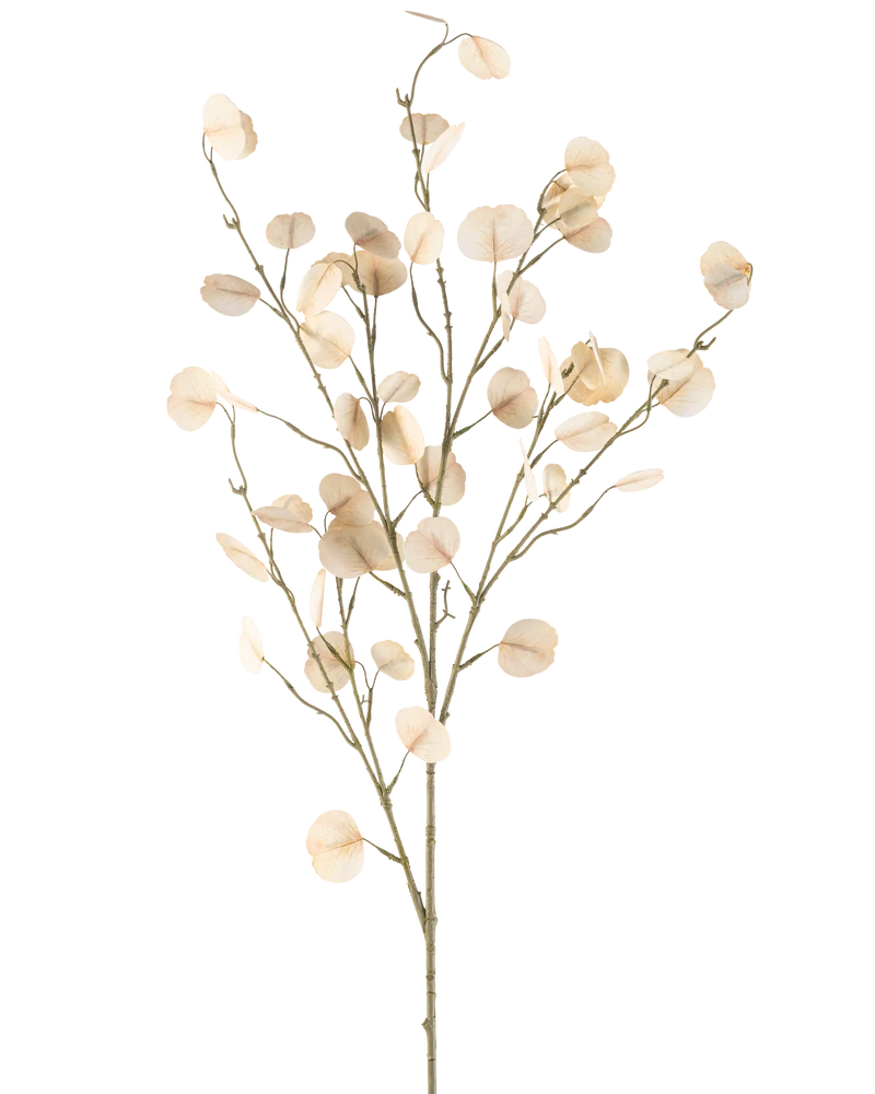 Kunstbloem Eucalyptus 119 cm crème