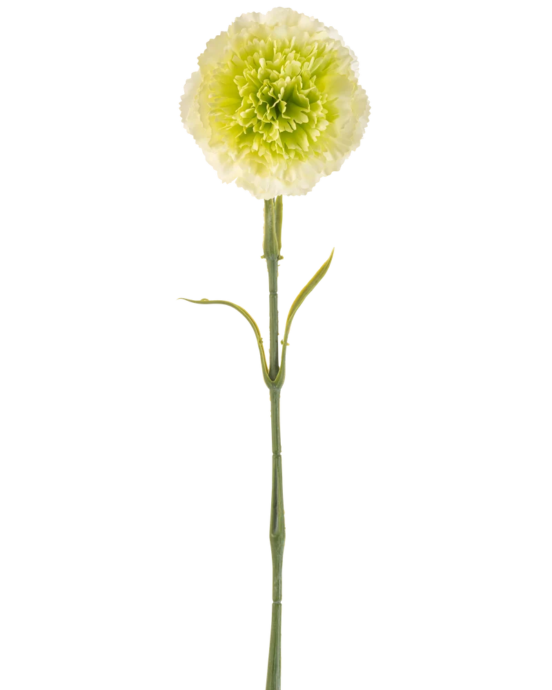 Kunstbloem Anjer 57 cm lichtgroen