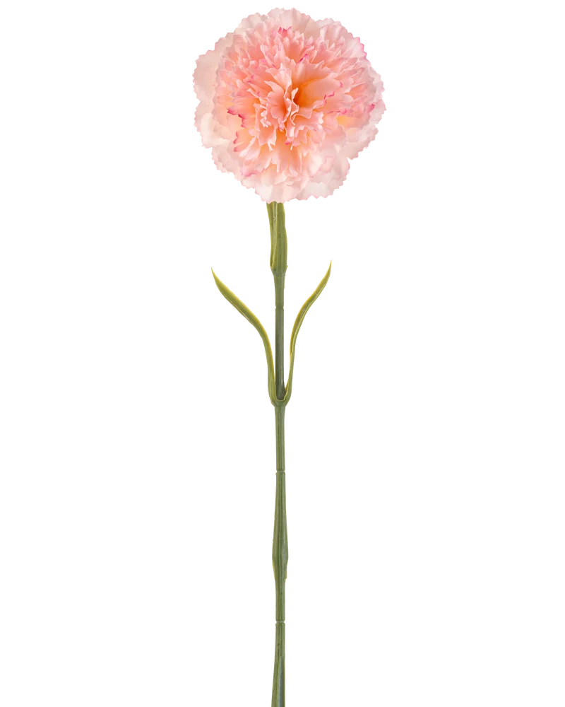 Kunstbloem Anjer 57 cm blush