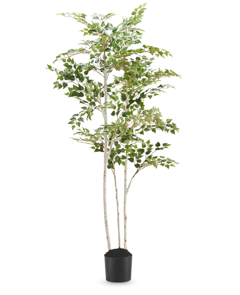 Kunst Berkenboom “Silver” 180 cm