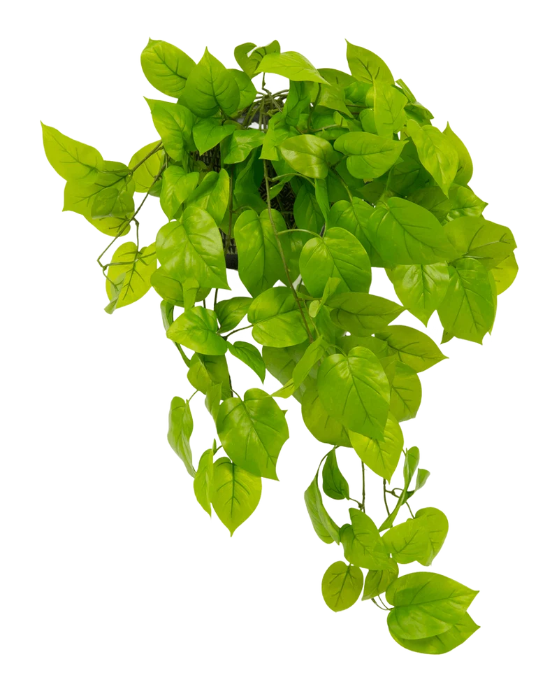 Kunst Pothos struik Deluxe 90 cm UV