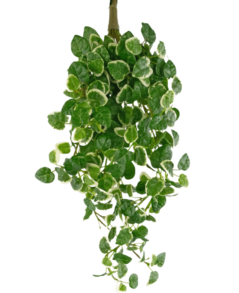 Kunst Hangplant Pumila 50 cm UV