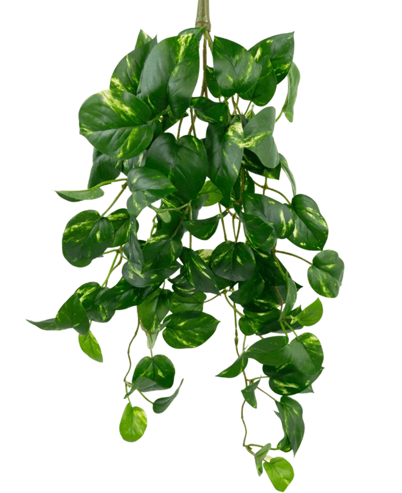 Kunst Hangende goudrank 60 cm UV