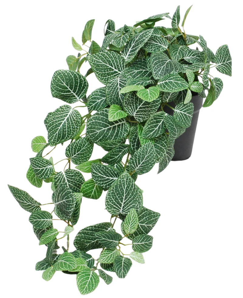 Kunst Hangende Fittonia groen-wit in pot 70 cm UV