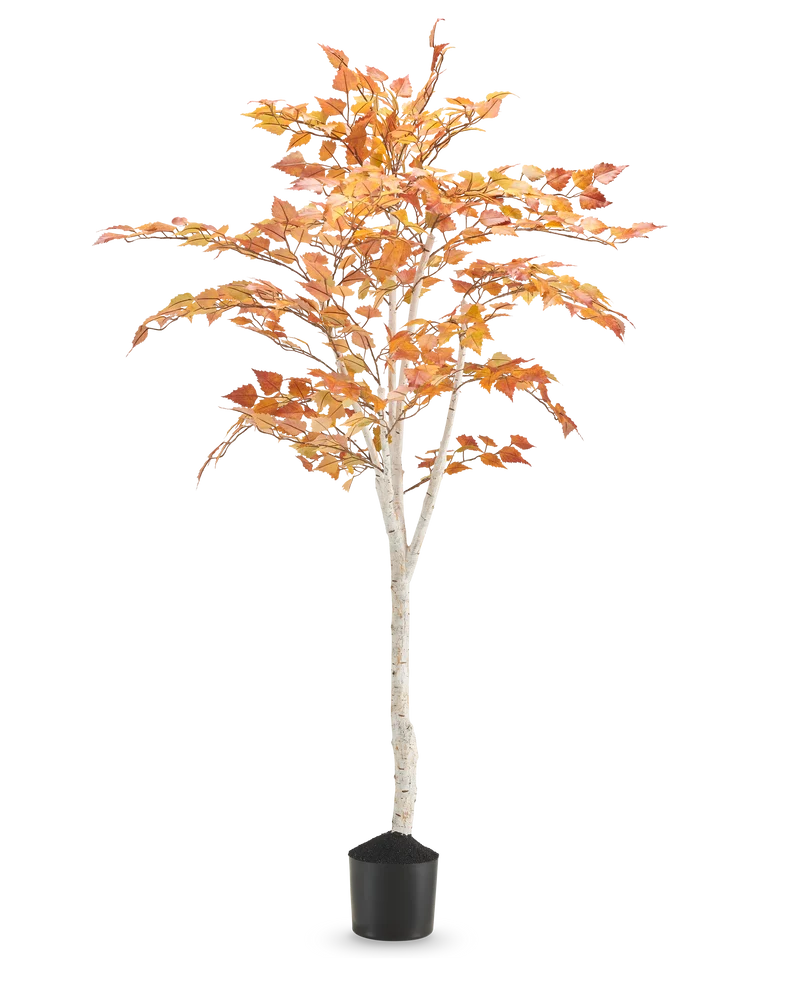 Kunst Berkenboom “Herfst” 150 cm