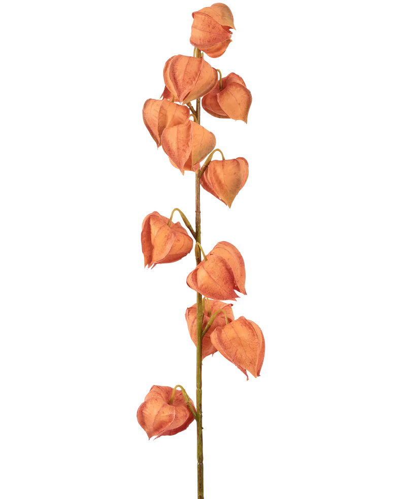 Kunstbloem Lampionplant 79 cm oranje