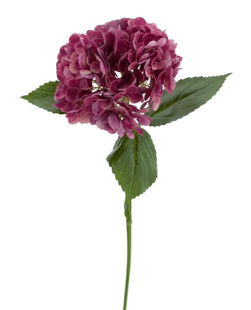 Kunstbloem Charlotte Hortensia Real Touch paars 55 cm
