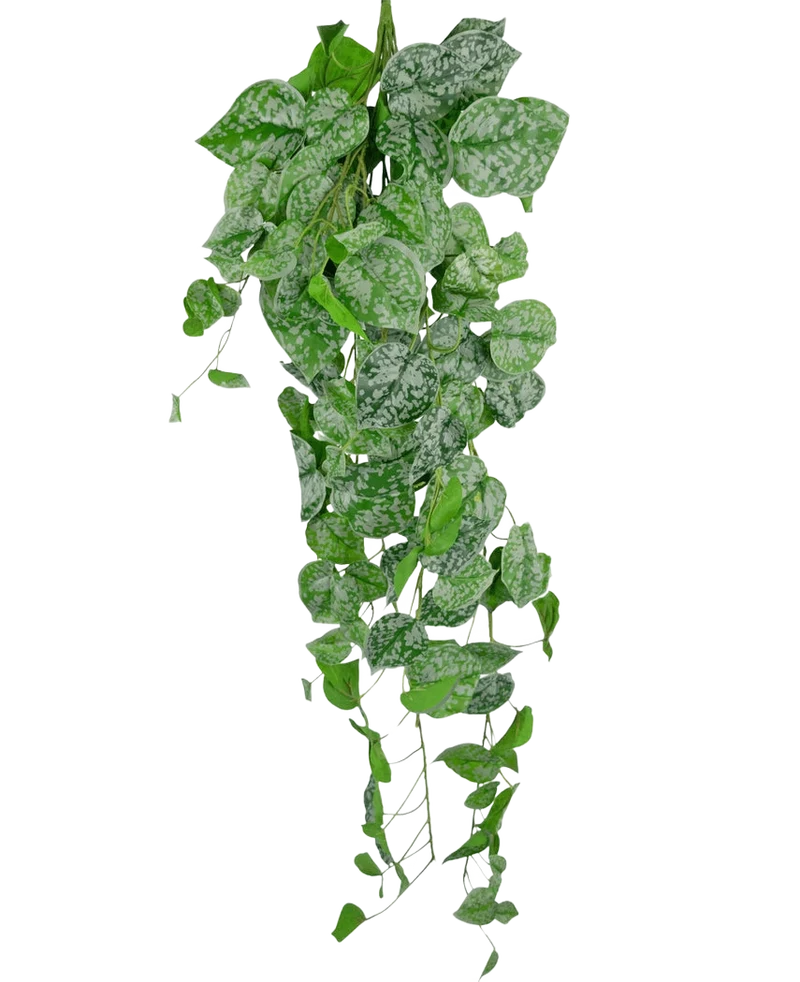 Kunst hangplant Scindapsus 90 cm