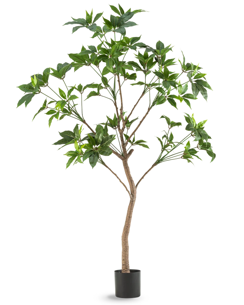 Kunstplant Schefflera 180 cm