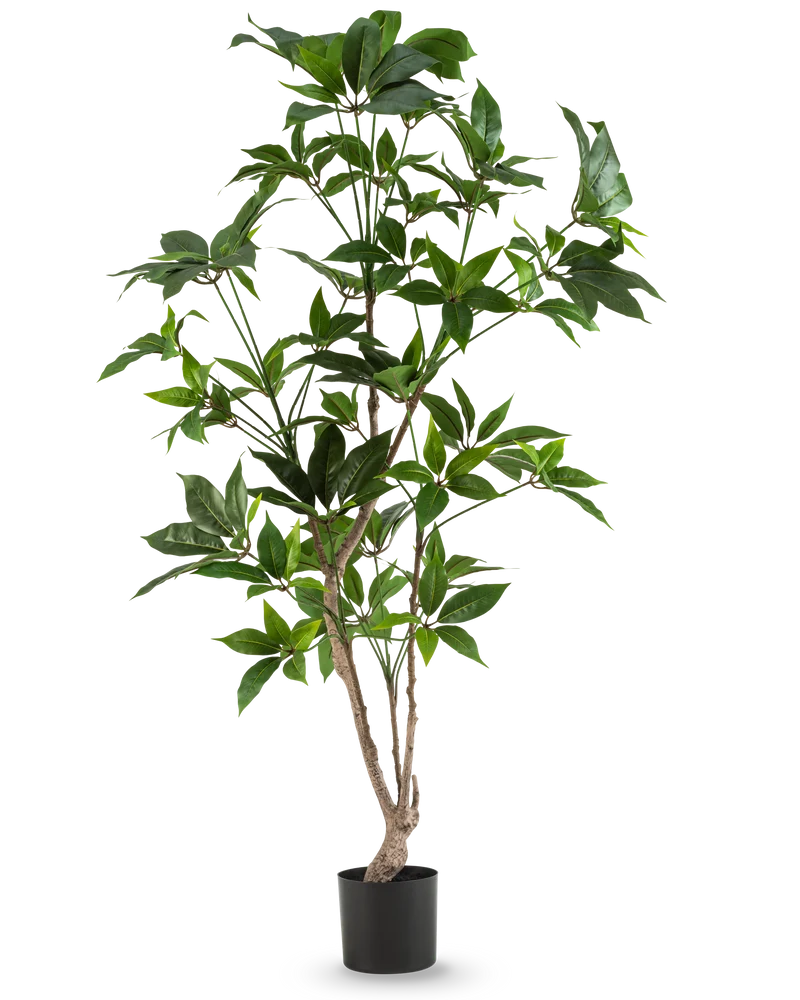 Kunstplant Schefflera 150 cm