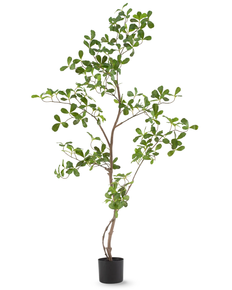 Kunstplant Terminalia Catappa 120 cm