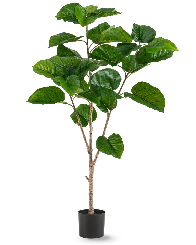Kunstplant Ficus Rumphii 150 cm