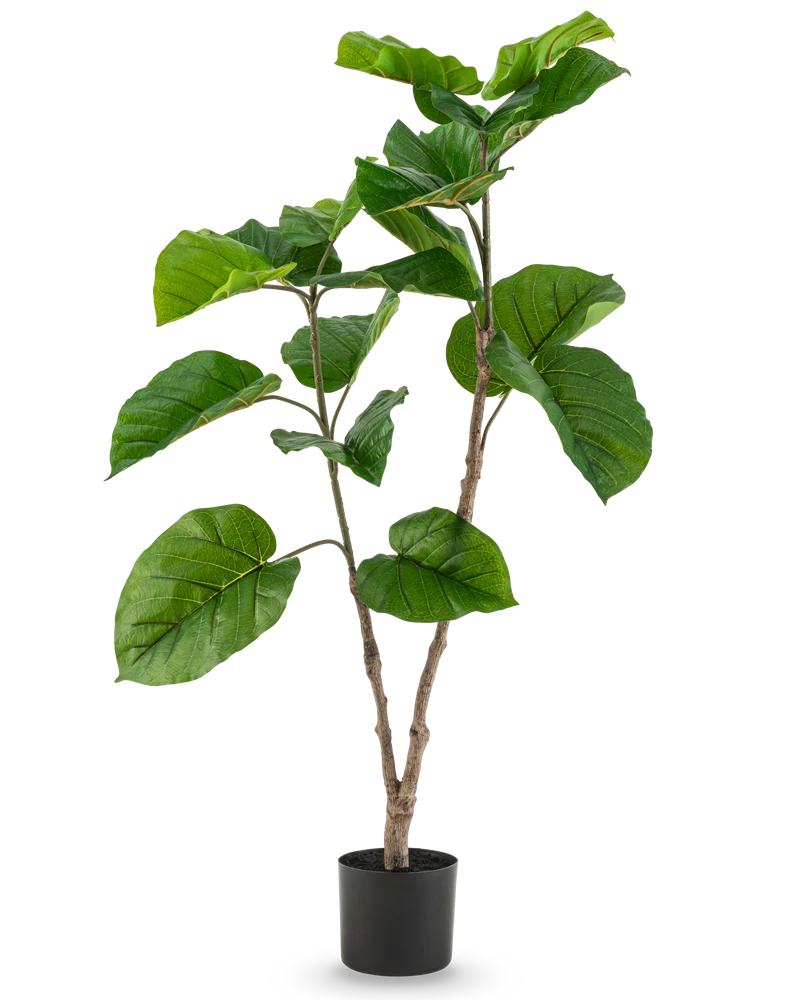 Kunstplant Ficus Rumphii 120 cm