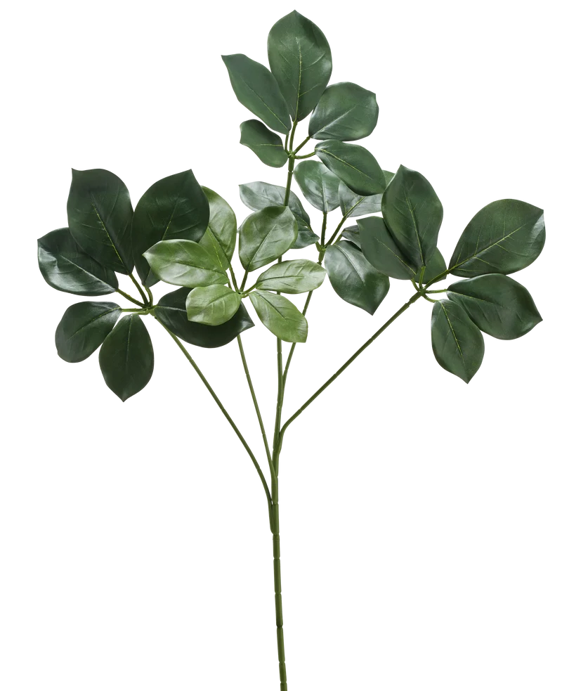 Kunsttak Schefflera spray 50 cm FR