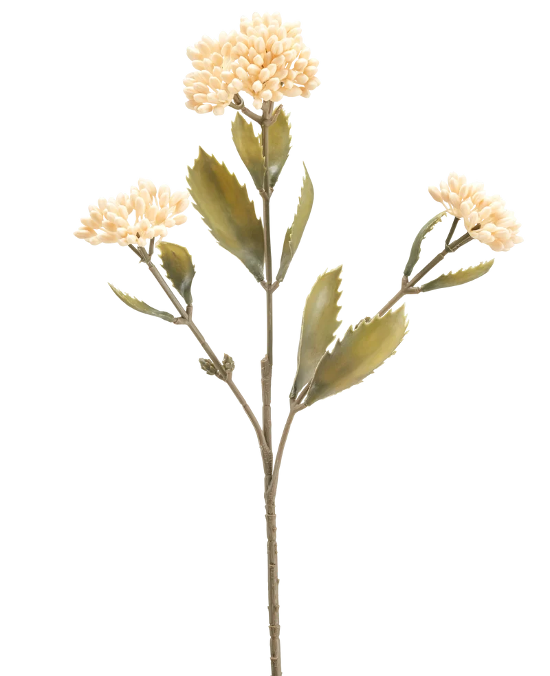 Kunstbloem Kalanchoe 47 cm creme