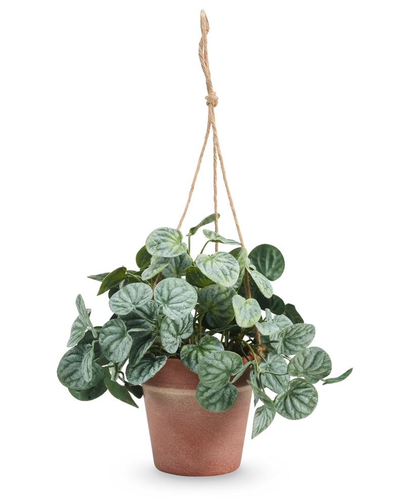 Kunstplant Rugose blad 29 cm grijs in hangpot