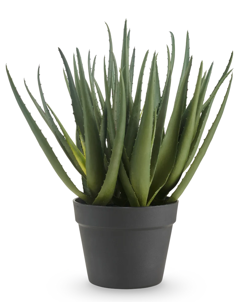 Kunstplant Aloë 46 cm