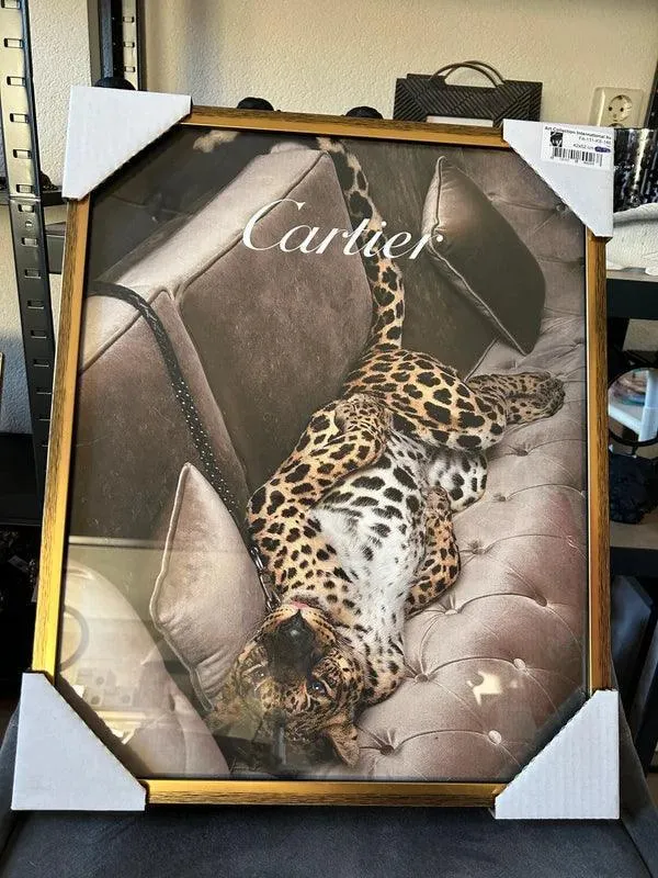 Fotolijst in het goud Cartier - met Luipaard liggend 42x52cm