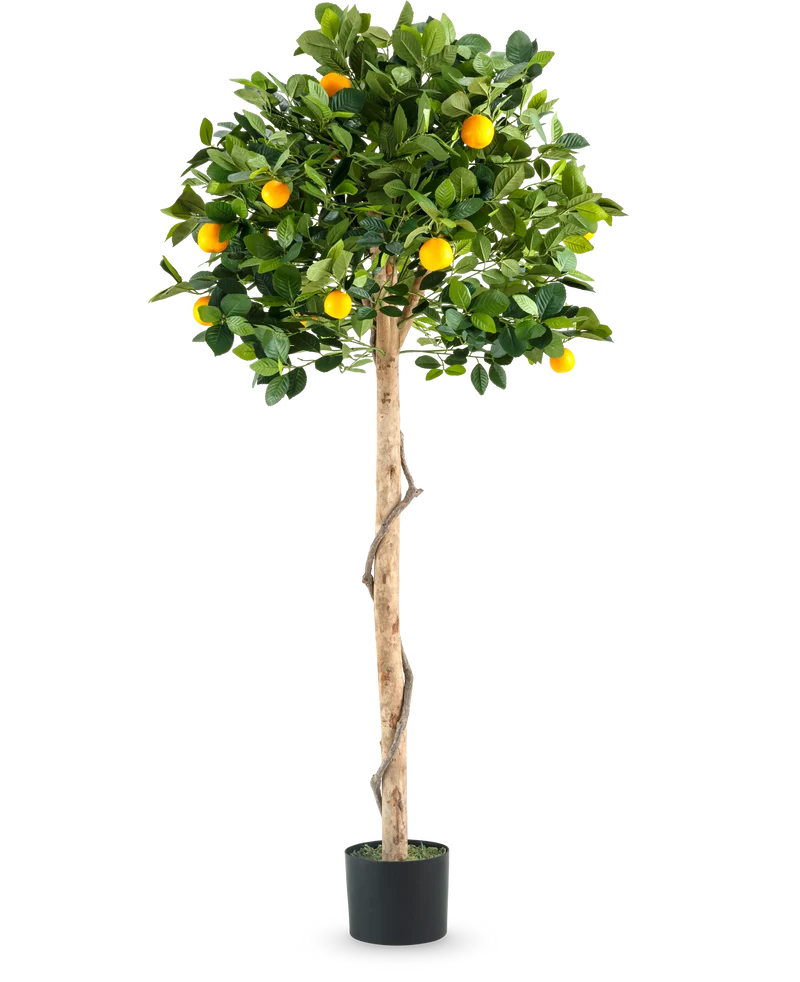 Kunstplant Sinaasappelboom op enkele stam 150 cm
