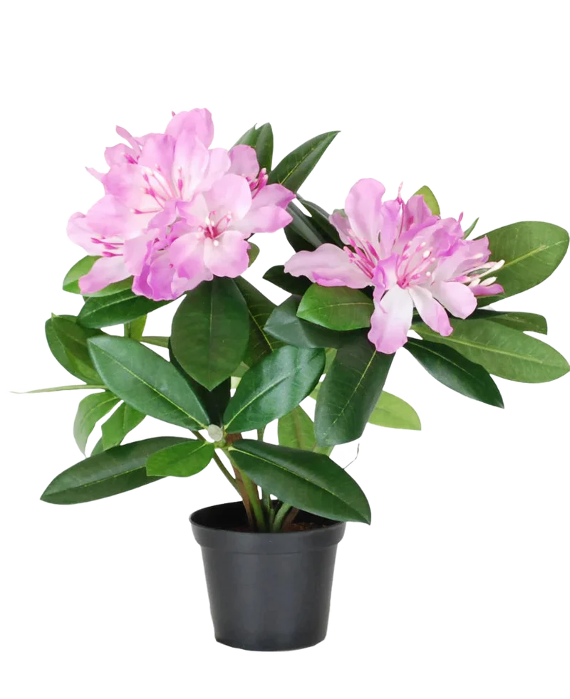 Kunstplant Rhododendron 34 cm