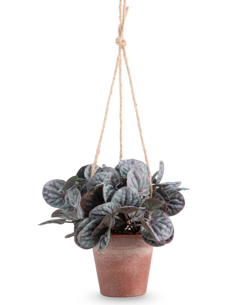Kunstplant Rugose blad 18 cm grijs in hangpot