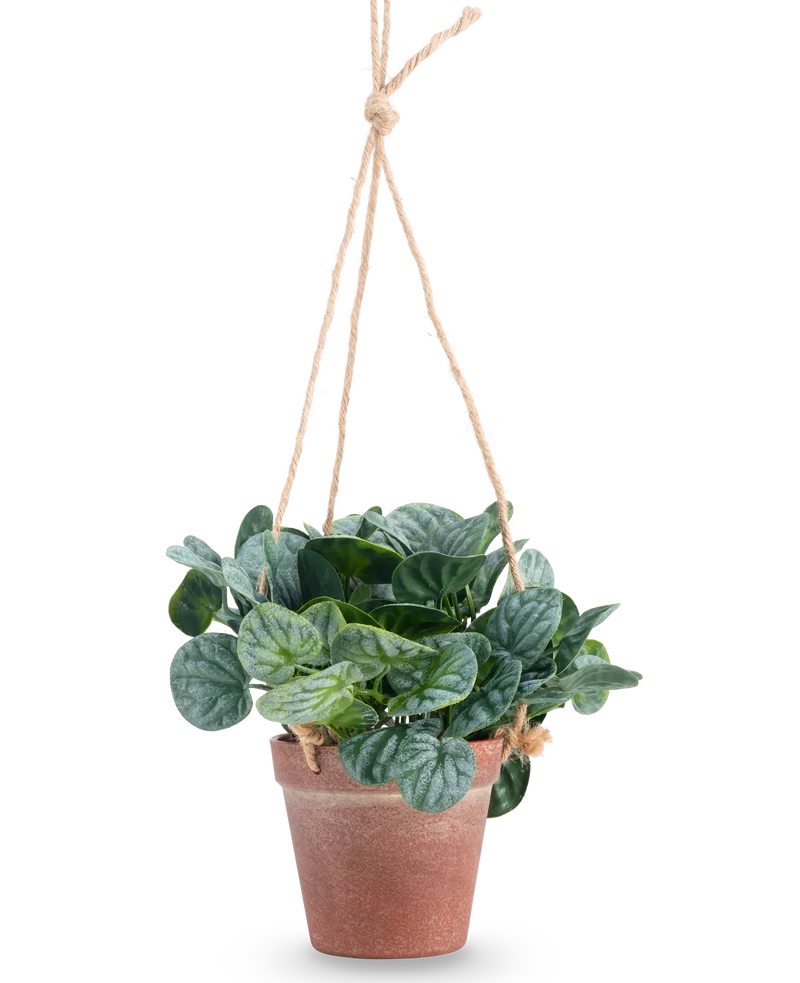Kunstplant Rugose blad 18 cm groen in hangpot