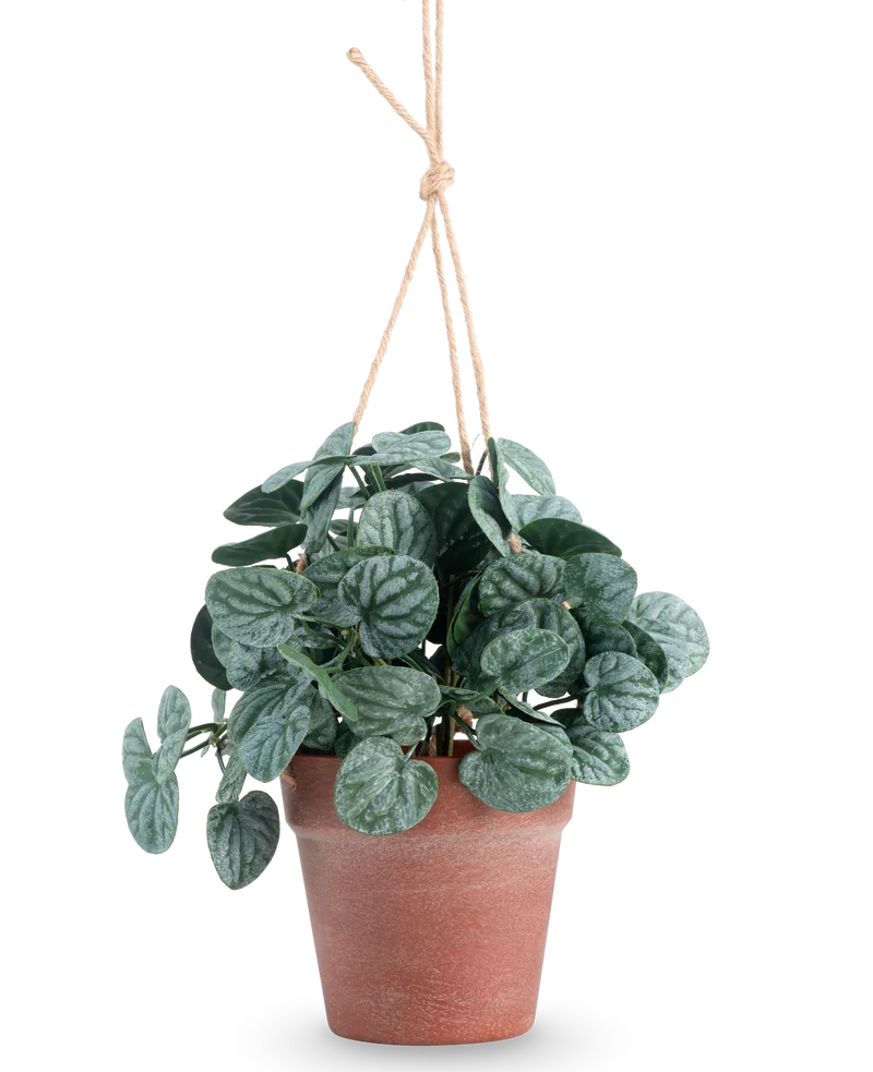 Kunstplant Rugose blad 29 cm groen in hangpot