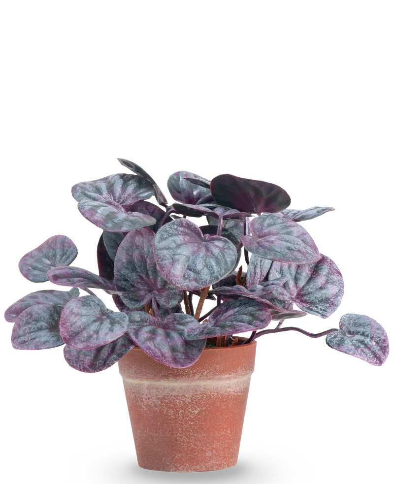 Kunstplant Rugose blad 16 cm grijs