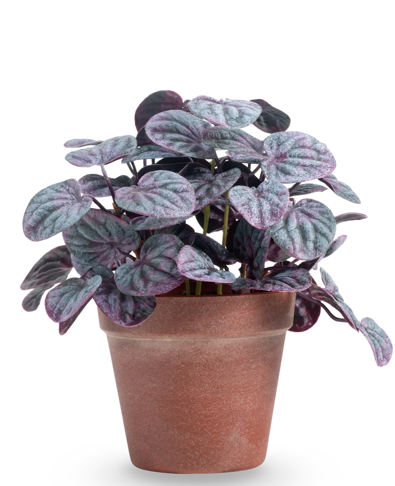 Kunstplant Rugose blad 26 cm grijs