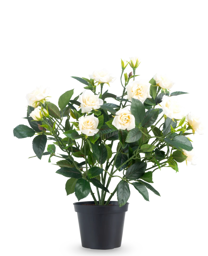 Kunstplant Patio-roos 35 cm crème UV