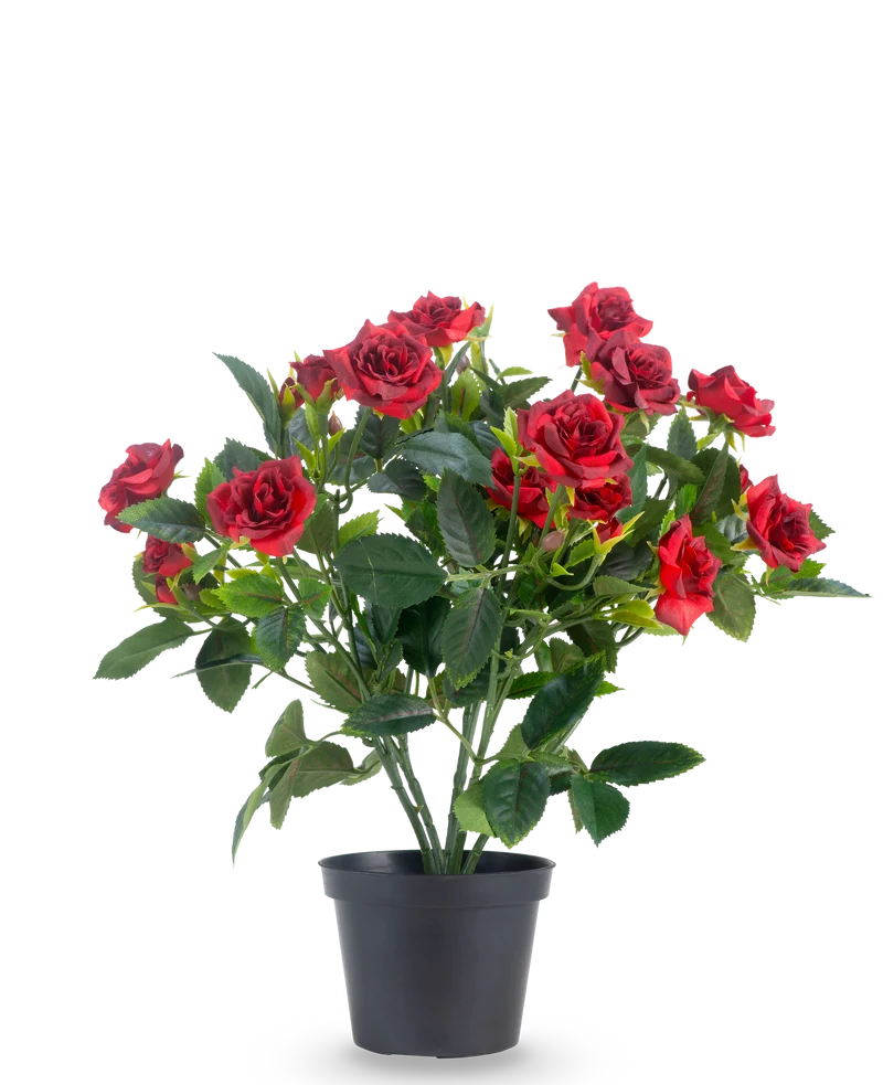 Kunstplant Patio-roos 35 cm rood/zwart