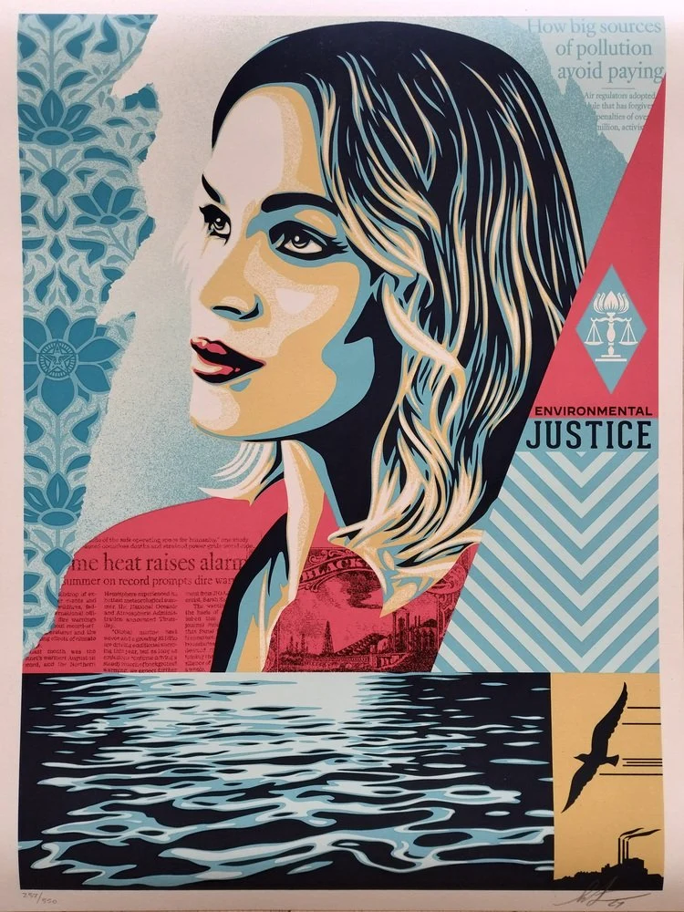 Artwork - Shepard Fairey – Environmental Justice – Handgesigneerde lithografie (Editie van 550)